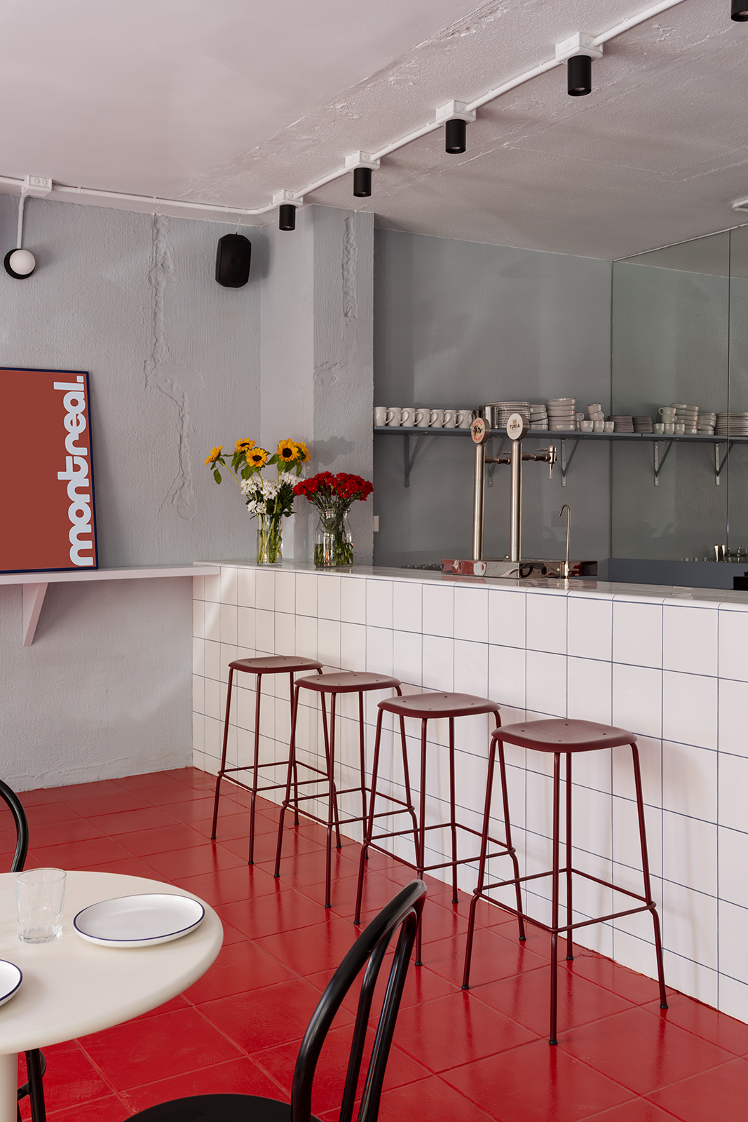 Plutarco-Montreal-007W