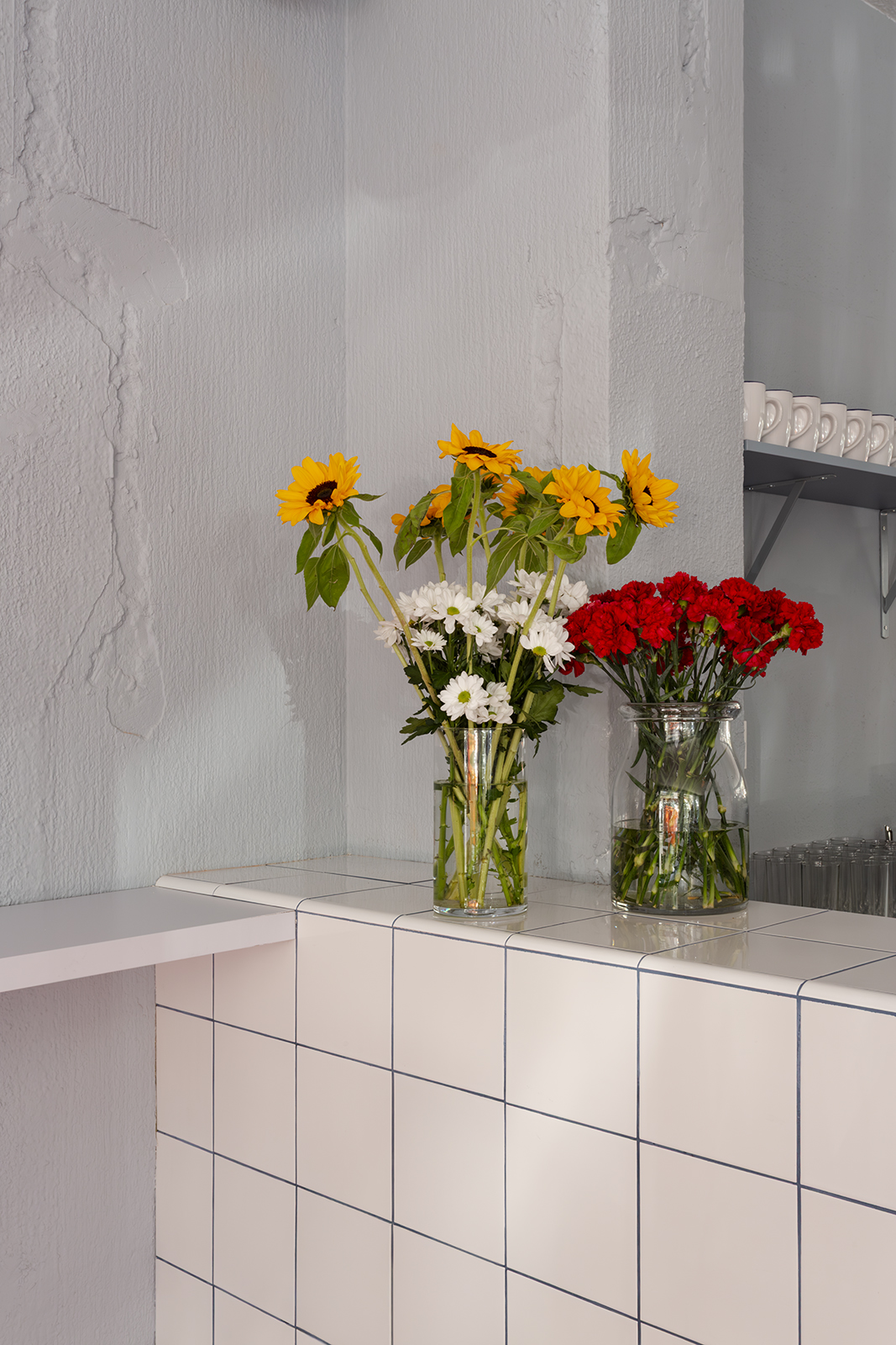 Plutarco-Montreal-011W