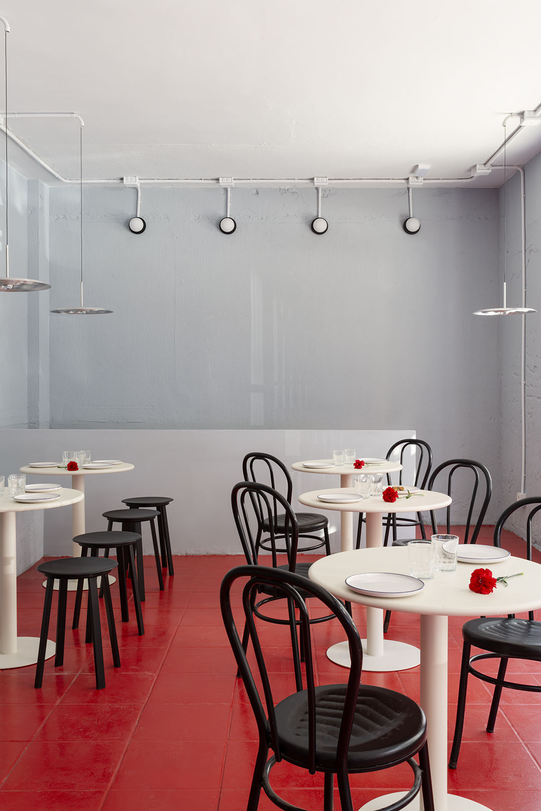 Plutarco-Montreal-016W