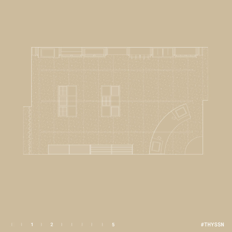 THYSSN_Plano web